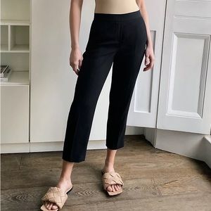 Aritzia • Babaton Conan Pant